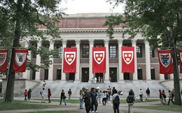 3 điều đại học Harvard danh tiếng đang 'nói dối' mà không phải ai cũng biết