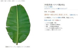 Vì sao người Việt ở Nhật phải mua lá chuối với giá 500.000 đồng/lá?