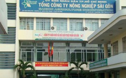 Kỷ luật cảnh cáo Kế toán trưởng Tổng Công ty Nông nghiệp Sài Gòn