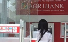 Ngân hàng Nhà nước bảo đảm tiền gửi cho khách hàng tại Agribank