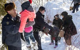 Công dân Mỹ xin tị nạn ở Canada tăng gấp 6 lần