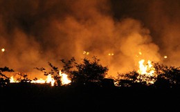 Cháy lớn tại nhà xưởng sản xuất pallet gỗ tại Bình Dương