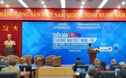EU sẽ miễn thuế và hạn ngạch nhập khẩu gạo, mía đường từ Việt Nam