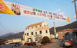 HLV Park Hang Seo được ca ngợi, chúc mừng khắp quê nhà