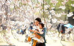 5 quy tắc nuôi dạy con của cha mẹ Nhật mà mọi phụ huynh nên học hỏi