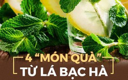 Chuyên gia dưỡng sinh Đông y tiết lộ bí quyết dùng lá bạc hà giúp gan khỏe, giải độc tốt