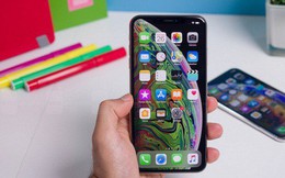 Nhiều iPhone trên toàn thế giới gặp lỗi mất kết nối di động sau khi cập nhật iOS 12.1.2