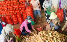 Nông dân tỉnh Lâm Đồng kỳ vọng vào mùa Tết