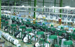 Một nhân viên được thưởng Tết 900 triệu đồng