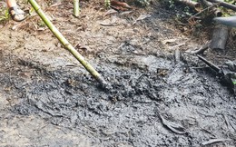 Tổng cục Môi trường: Ô nhiễm nguồn Nhà máy nước sạch sông Đà do đổ trộm dầu