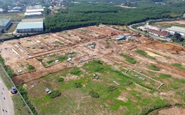Trong tháng 11/2019 sẽ hoàn thành kiểm đếm đất tại dự án sân bay Long Thành