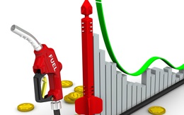 Thị trường ngày 16/11: Giá sắt thép tăng mạnh nhất hơn 2 tháng, dầu tăng gần 2%
