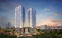 Tăng tuổi thọ công trình với công nghệ tường vách chịu lực bằng bê tông cốt thép