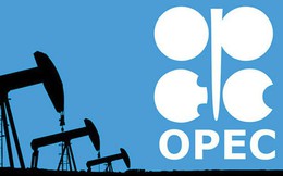 OPEC+ cắt giảm khai thác dầu đến khi nào?