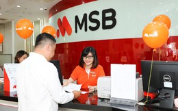 MSB đặt mục tiêu lợi nhuận 1.860 tỷ đồng trong năm 2019, chuẩn bị IPO và lên sàn HoSE vào quý III