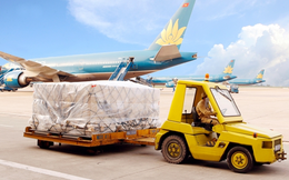 Noibai Cargo (NCT) chốt danh sách cổ đông nhận cổ tức bằng tiền tỷ lệ 50%