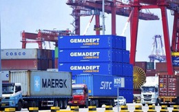 Gemadept (GMD): Quý 1/2019 lãi 120 tỷ đồng chỉ bằng 1/10 cùng kỳ