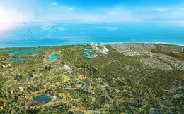 Bà Rịa – Vùng Tàu ủng hộ phương án đầu tư Khu nghỉ dưỡng Safari Hồ Tràm quy mô khoảng 600ha