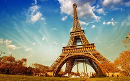 Gặp khó trong ngành xây lắp, “Eiffel Việt Nam” vẫn báo lãi kỷ lục nhờ chuyển hướng kinh doanh