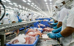Xuất khẩu cá tra sang ASEAN nhiều điểm sáng
