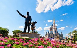 Chuyện chưa kể về nhà sáng lập Walt Disney: Công ty khởi nghiệp đầu tiên thất bại, vô gia cư, 300 lần bị ngân hàng từ chối trước khi tạo ra hãng phim tỷ USD