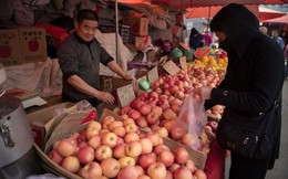 Trung Quốc: Giá táo tăng gần 30% trong hơn 1 tháng, Chính phủ lo lắng trấn an người tiêu dùng