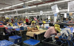 Nhà sản xuất xe đạp hàng đầu thế giới: Kỷ nguyên "Made in China" đã kết thúc