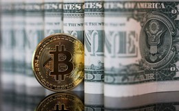 Bitcoin vượt mốc 11.000 USD