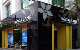 LNTT ngân hàng Bắc Á trong 6 tháng đầu năm đạt 436 tỷ đồng