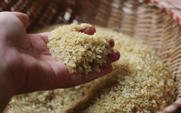 Úc đưa ra yêu cầu mới đối với gạo đồ nhập khẩu