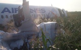Video sốc: Máy bay Nga lao xuống cánh đồng ngô như thế nào?