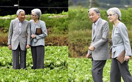 Ngôn tình ngoài đời thực: Vợ chồng cựu Nhật hoàng nắm tay nhau hưởng thú vui tuổi già, 60 năm tình yêu vẫn vẹn nguyên