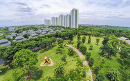 Sau đại dự án ở Hưng Yên, Tập đoàn Ecopark muốn vươn dài "cánh tay" đến Móng Cái, Nghệ An