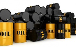 Giảm thuế nhập khẩu dầu mỏ thô xuống còn 0%