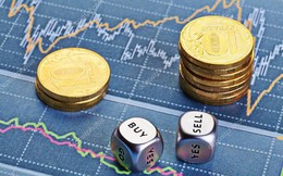 Chứng khoán HSC chuyển nhượng hơn 2 triệu cổ phần tại Quản lý quỹ VFM cho Dargon Capital