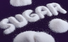 TTC Sugar (SBT) chỉ bán được nửa số lượng cổ phiếu ưu đãi cổ tức do "tổ chức tài chính tên tuổi châu Âu" DEG mua ít hơn dự kiến