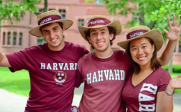 Lương của sinh viên Harvard mới ra trường đã lên đến 1,6 tỷ đồng nhưng chưa là gì so với các trường khác trong khối Ivy League