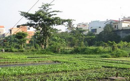Hỗ trợ hơn 7 triệu đồng/m2 đất khu vườn rau Lộc Hưng