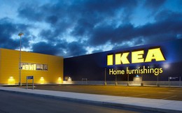 Vì sao phải mất tới 4 năm thăm dò, IKEA mới cân nhắc đầu tư 450 triệu Euro vào Việt Nam?