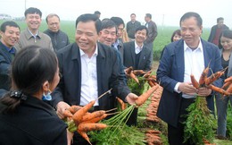 Bộ trưởng Nguyễn Xuân Cường: 'Nông dân chúng ta ngày càng sáng tạo'