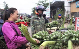 Nhộn nhịp chợ chuối vùng biên lớn nhất Quảng Trị