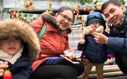 Lưu ý gì khi đi tour dịp Tết?