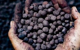 Trung Quốc có cứu nổi khủng hoảng nguồn cung quặng sắt toàn cầu?