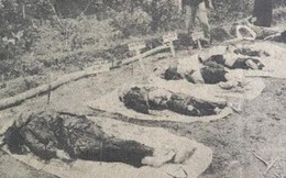 Báo QĐND 1979: Quân Trung Quốc xâm lược gây ra vụ thảm sát Sơn Mỹ mới