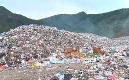 Chi hơn 35 tỉ đồng, chuyển 70.000 tấn rác từ Côn Đảo về đất liền xử lý
