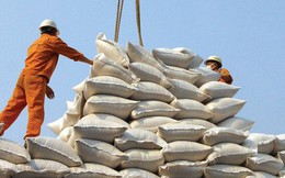30 năm xuất khẩu gạo và vai trò ổn định thị trường của Chính phủ