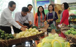 Xuất khẩu rau quả sang Trung Quốc: Sụt giảm sau nhiều năm tăng trưởng