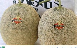 Cặp dưa lưới Nhật Bản được bán bằng giá một chiếc ô tô hạng sang