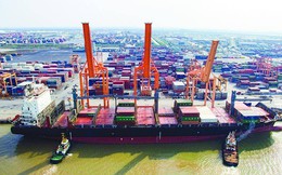 Ứng dụng mô hình “cảng điện tử” ở Tân Vũ