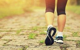 Chuyên gia Harvard: Cách đi bộ cực dễ giảm 41% nguy cơ chết sớm